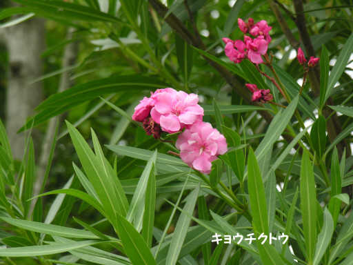 LE`NgEi|jLE`NgE