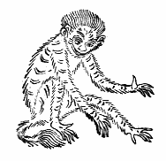 eC