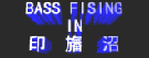 BASS FISHING IN ׏